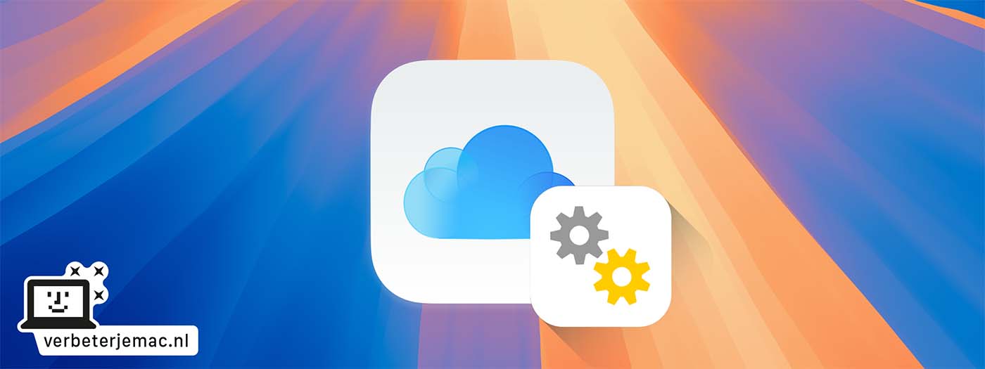 Bewaar download in iCloud Drive