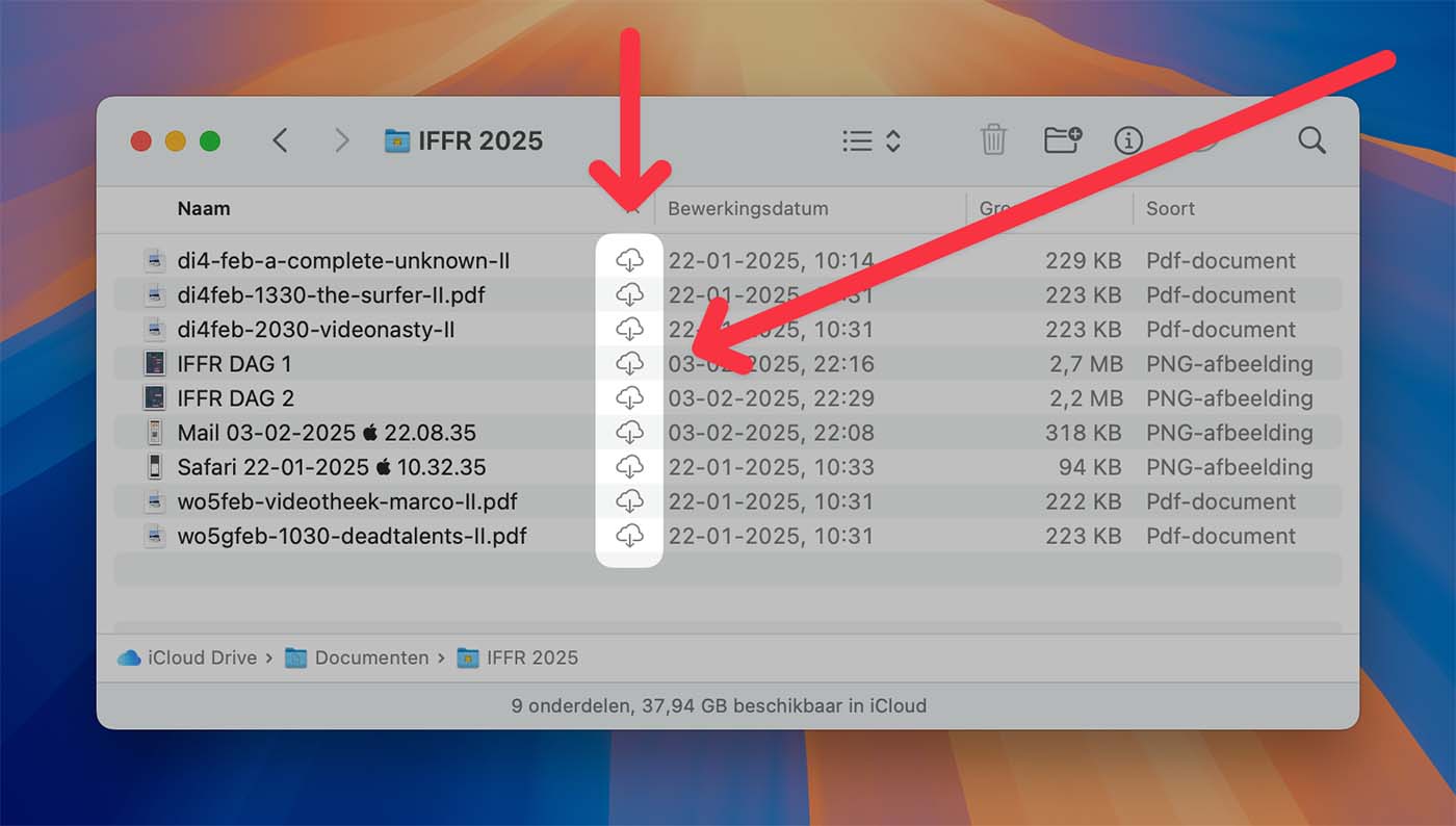 Bewaar download in iCloud Drive