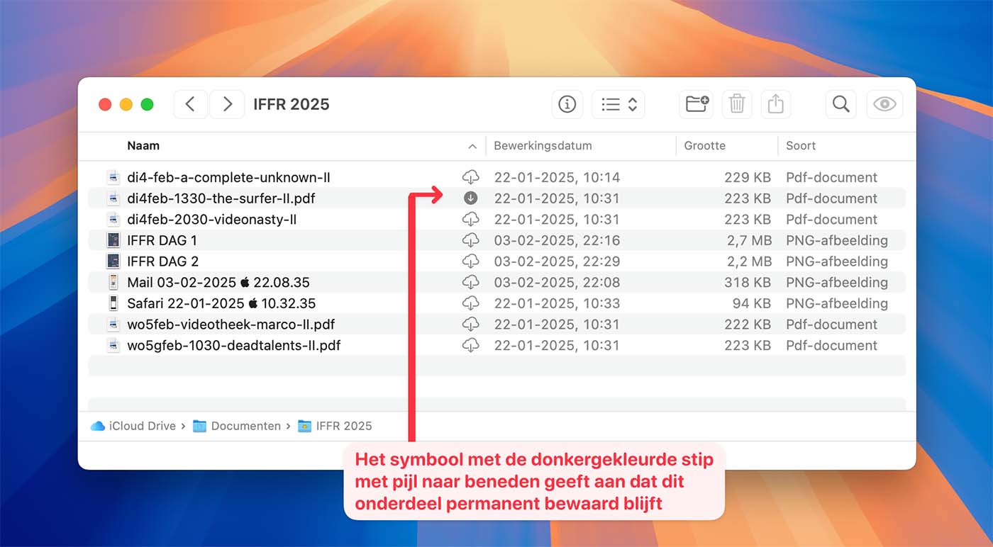 Bewaar download in iCloud Drive