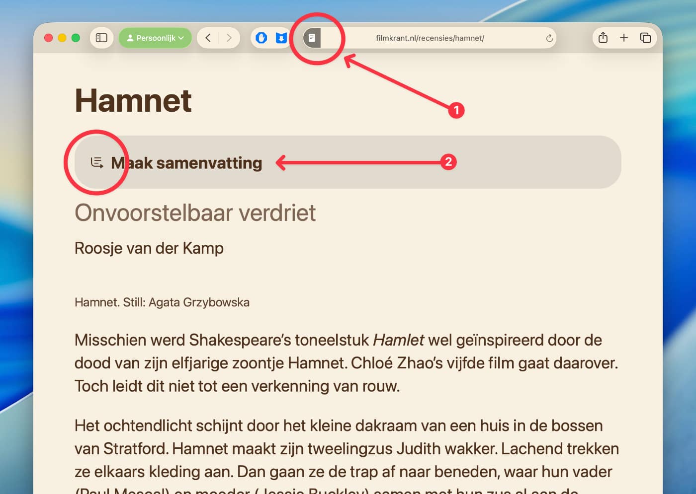 Activeer de Reader in Safari
