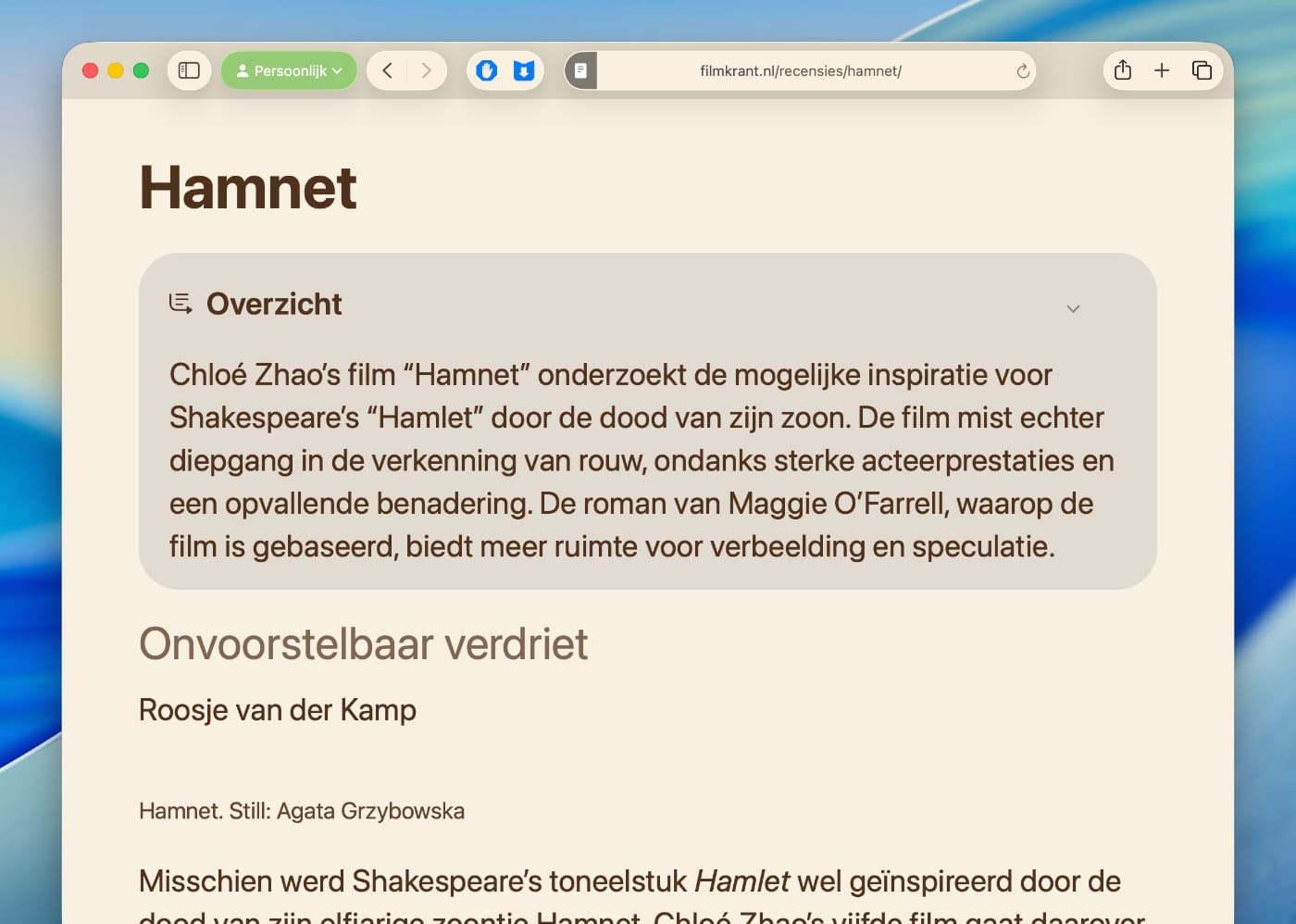 Zo ziet de samenvatting eruit