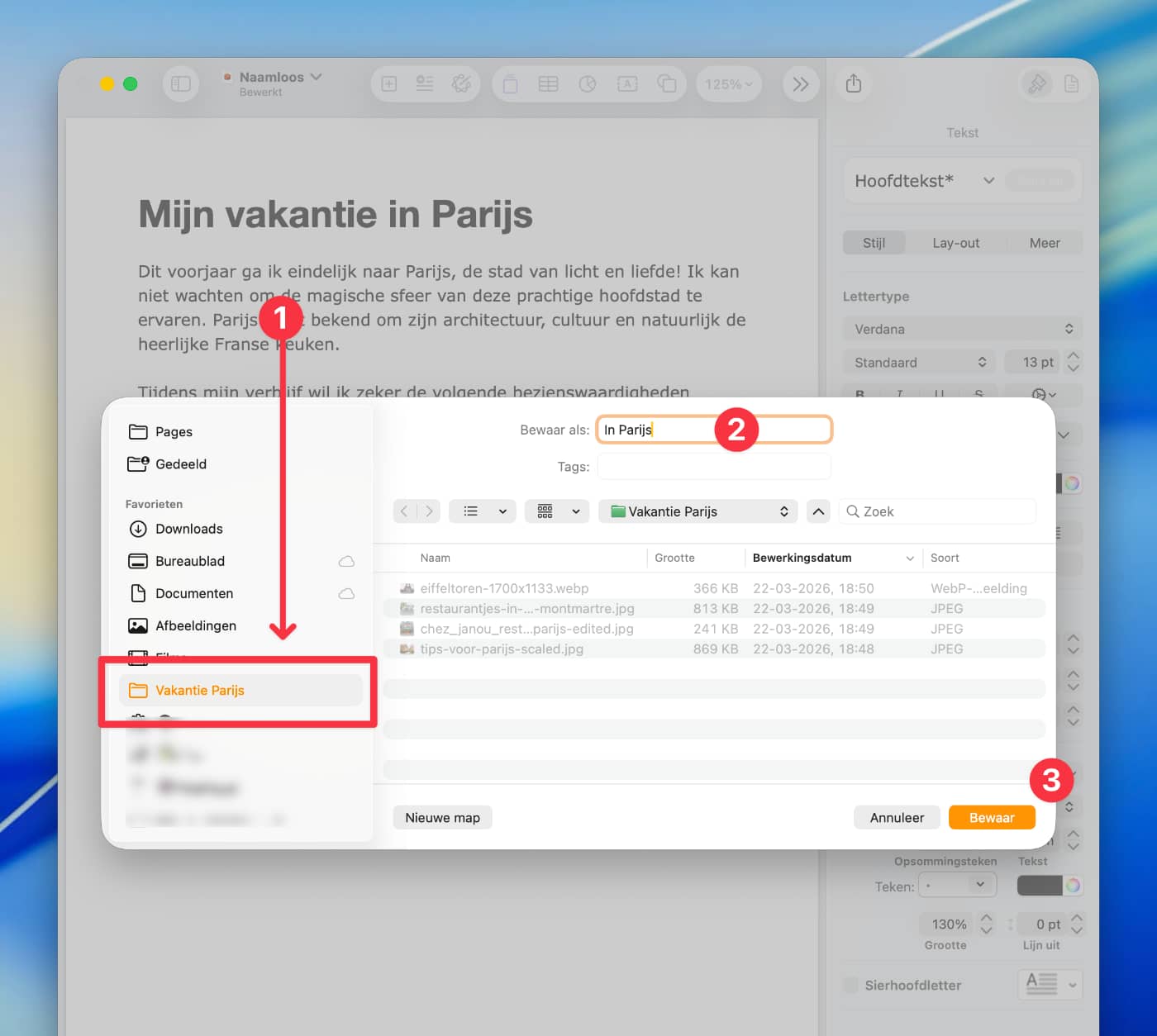 Bewaren in Pages met behulp van de navigatiekolom